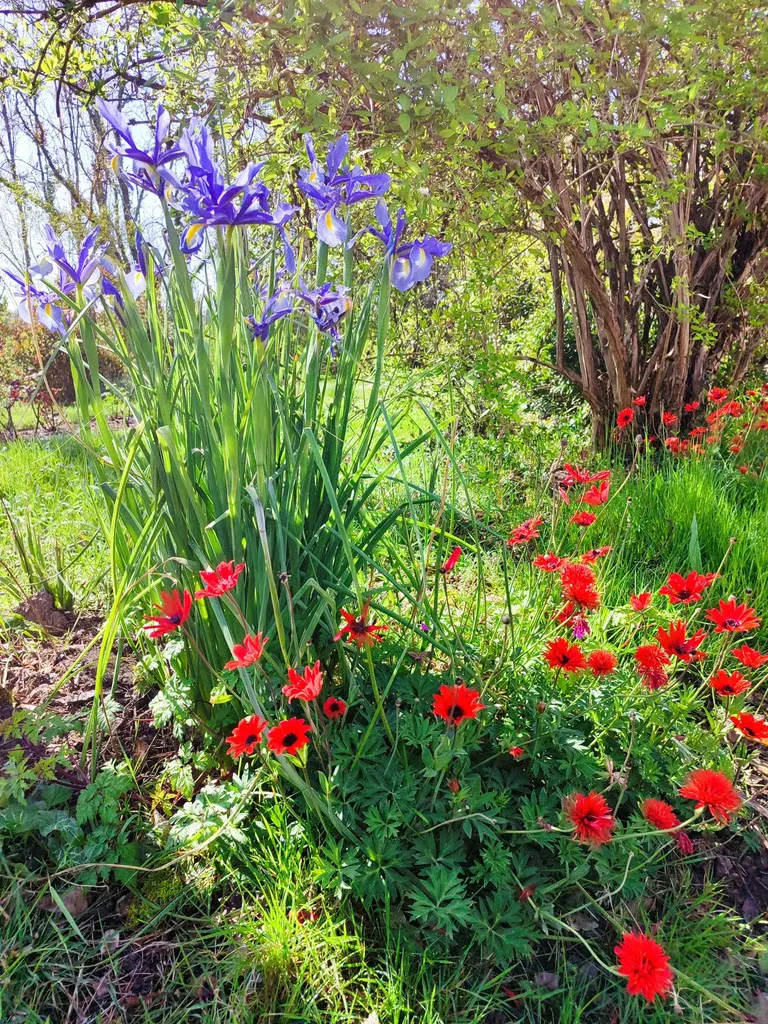Facade du centre Arkadhya