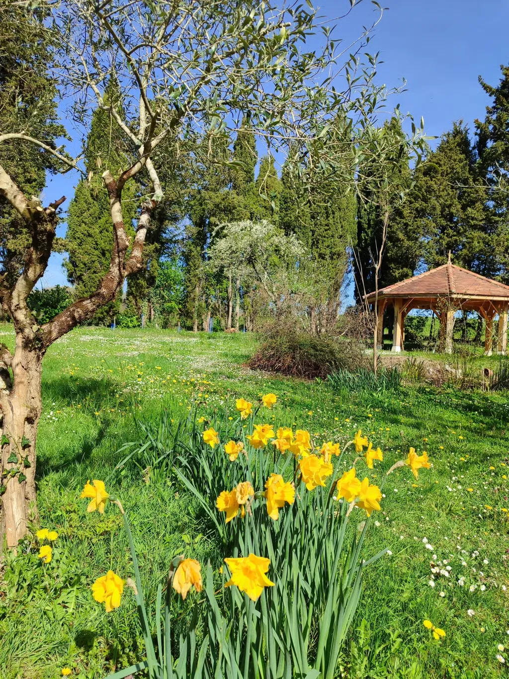 Jardin et terrasse du centre