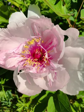 Salle de soins avec huiles