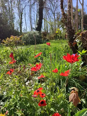 Espace cuisine ayurvédique