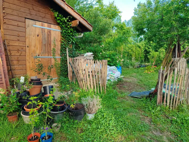 Jardin potager et cabane