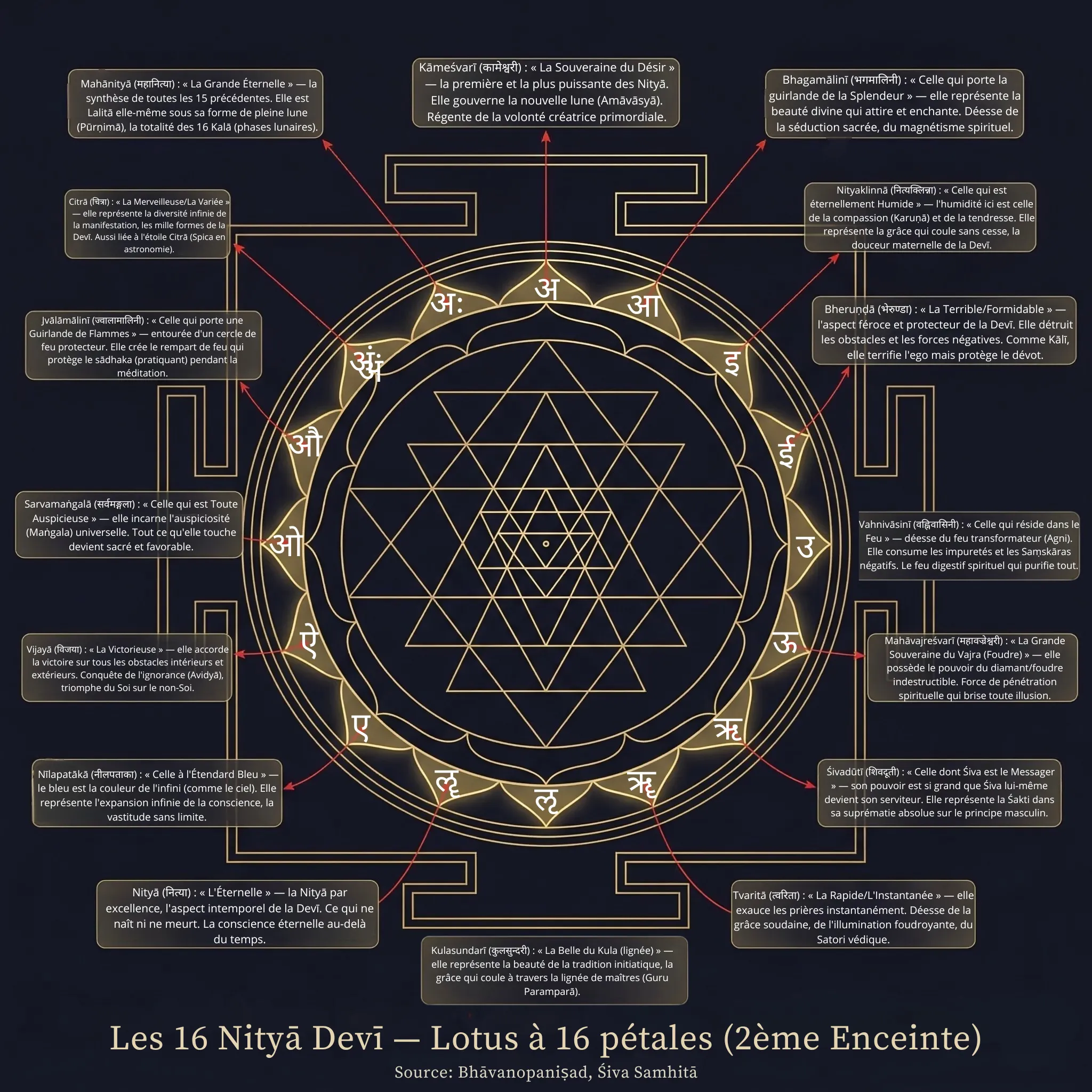 Le lotus extérieur, symbolisant les 16 phases de la Lune (Kalā), les 16 voyelles de l'alphabet sanskrit et les 16 aspects de la réalisation des désirs. Chaque pétale est une Nityā — une déesse éternelle.
