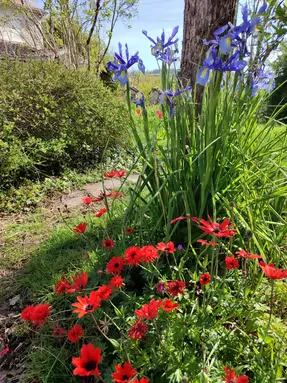 Chambre d'hôtes paisible
